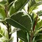 Artificial Rubber Tree Plant 6ft Tall Faux Ficus Tree Potted Fake Tropical Plants Decorative House Plants Large Floor Plants Artificial Trees for Home Office Store Room Decor